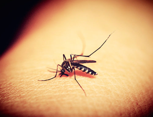 Desarrollada una prueba de aliento para diagnosticar la malaria